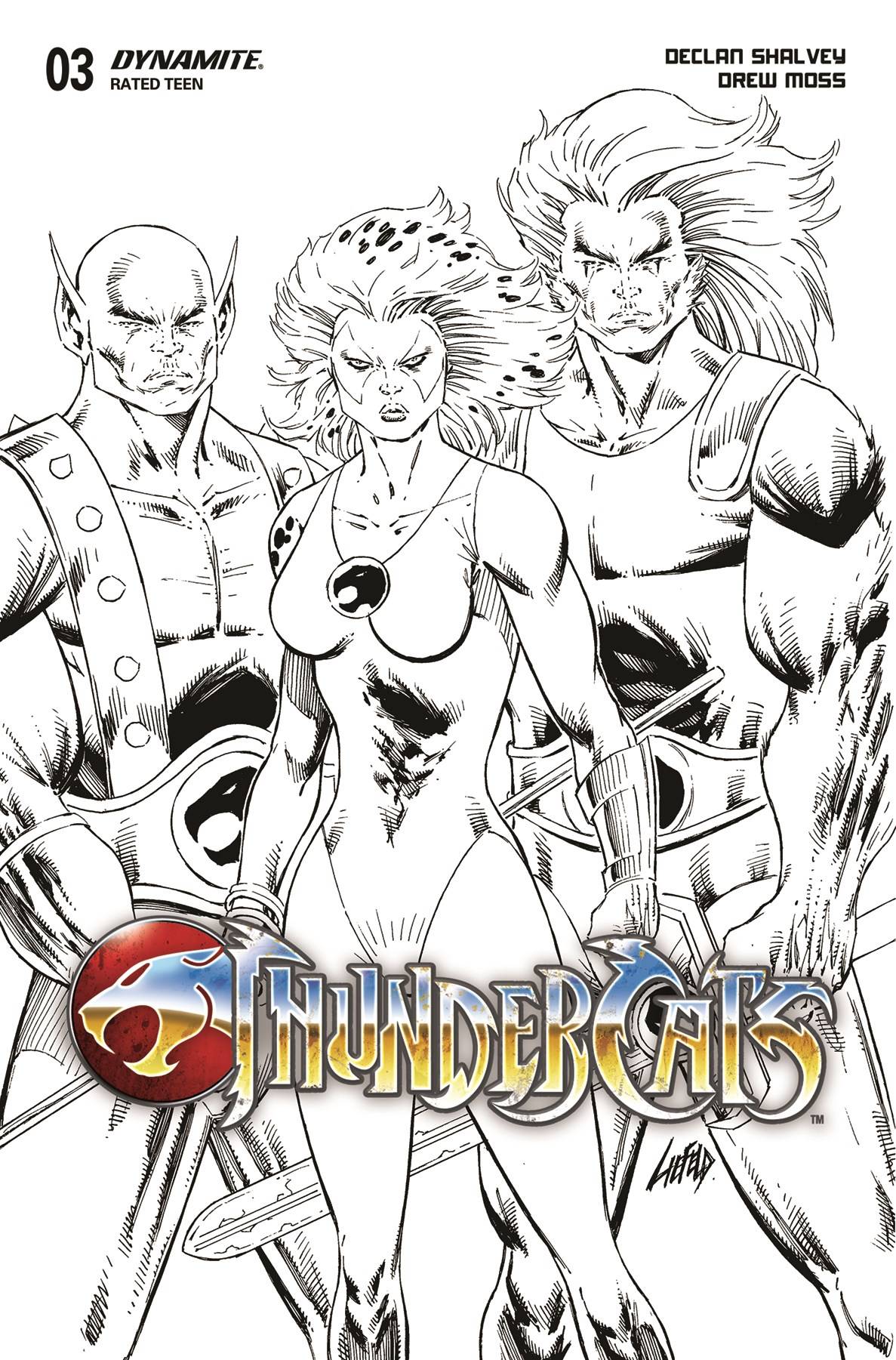 THUNDERCATS #3 CVR Y 1:10 LIEFELD B&W 04/10/24