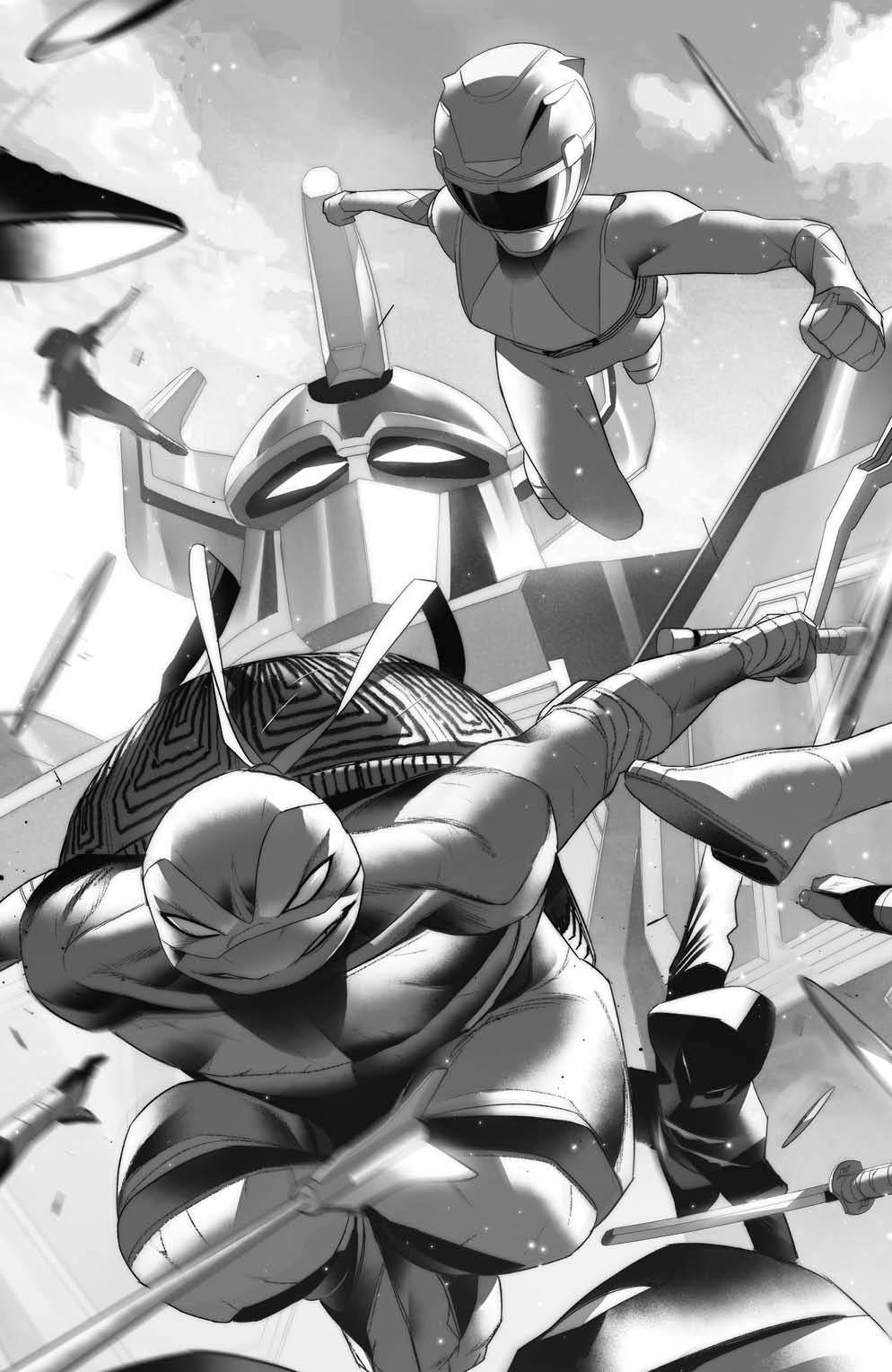 12/28/2022 MMPR TMNT II #1 (OF 5) CVR M 1:50 DI MEO