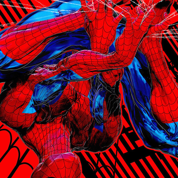 未使用The Amazing Spider-Man PICTURE record RARE SIGNED Stan Lee Amazing Spider-man Rock Reflections