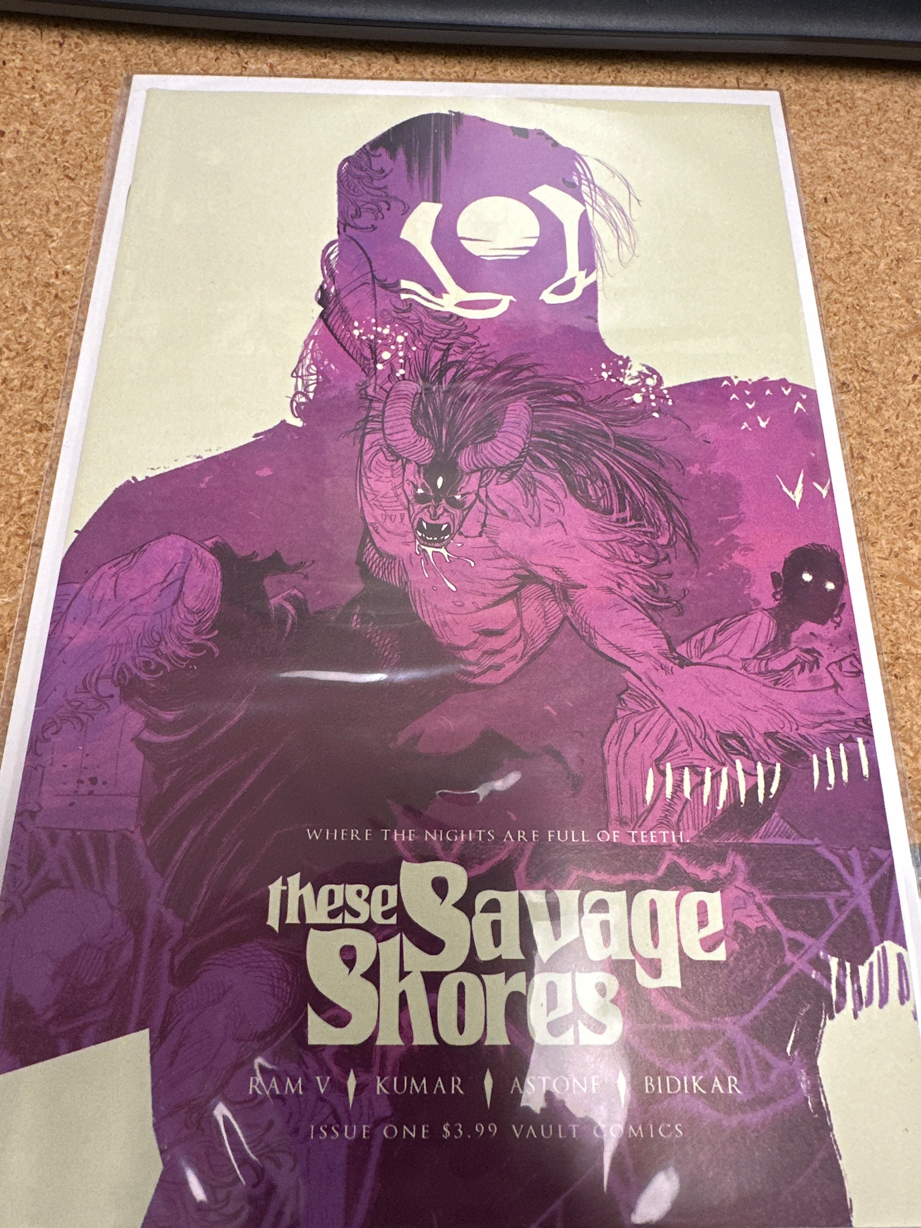 These Savage Shores #1 (CB107)
