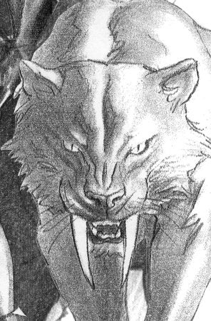 BLACK CAT #2 ALEX ROSS TIMELESS VIRGIN SKETCH VARIANT[1:100]  -- [Expected In Stock Date : 09-24-25]