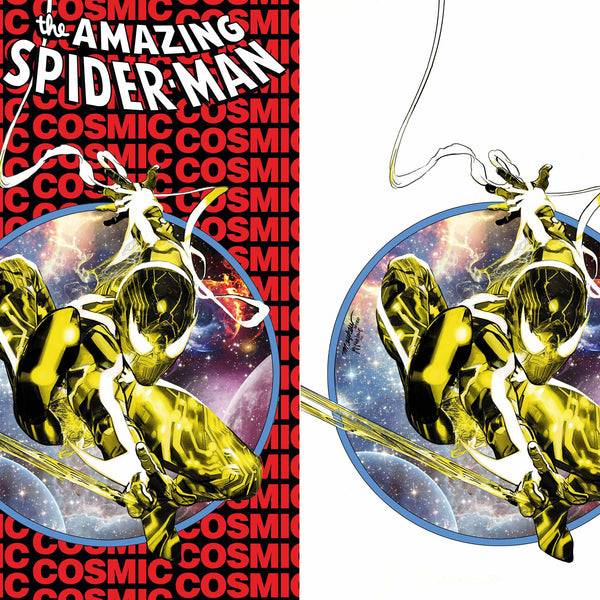 AMAZING SPIDER-MAN #12 MIKE MAYHEW ASM300 EXCLUSIVE HOMAGE
